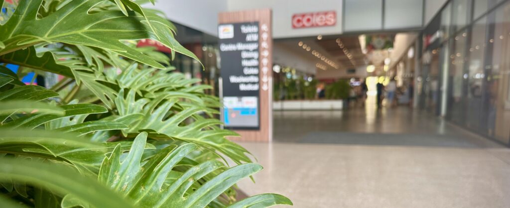 Park Ridge Brisbane area